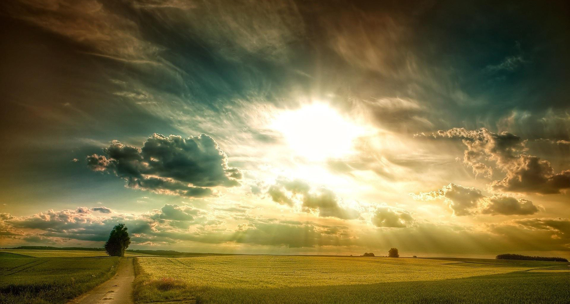 landscape-wallpapers-hd-desktop-images-large-wallpapers-windows-backgrounds-sky-plants-mother-nature-nature-wall-texture-1920x1026